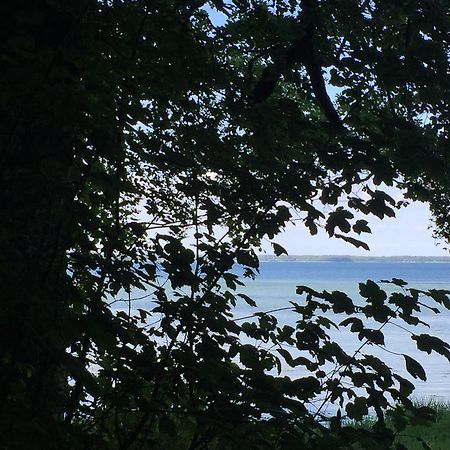 Lindegaardapartment - Woods And Sea Hejls エクステリア 写真