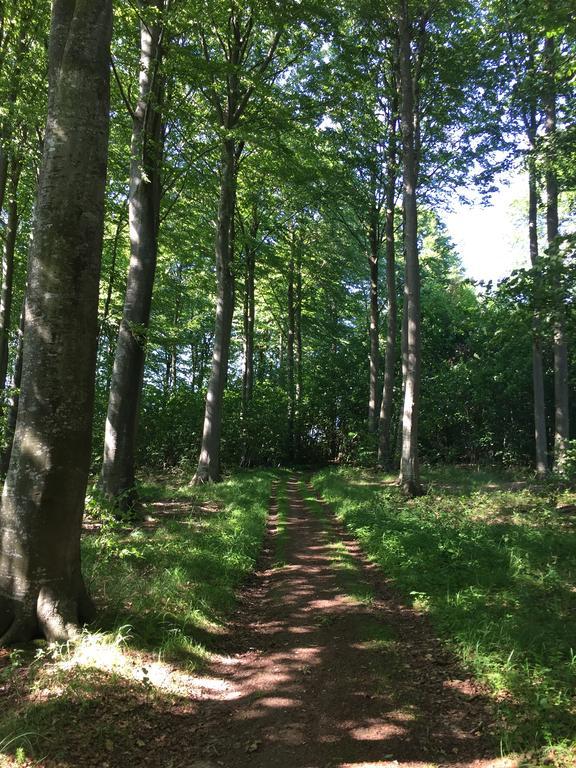 Lindegaardapartment - Woods And Sea Hejls エクステリア 写真