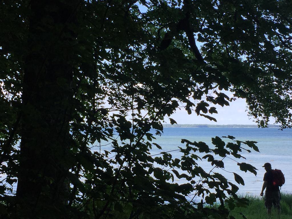 Lindegaardapartment - Woods And Sea Hejls エクステリア 写真