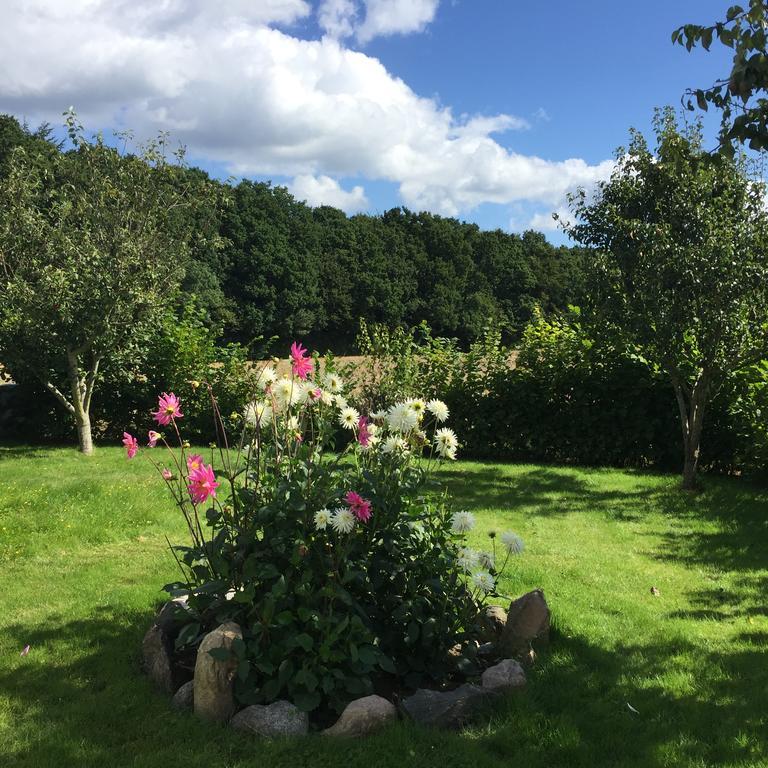 Lindegaardapartment - Woods And Sea Hejls エクステリア 写真
